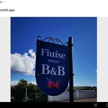 Fiuise B&B Дингл Экстерьер фото